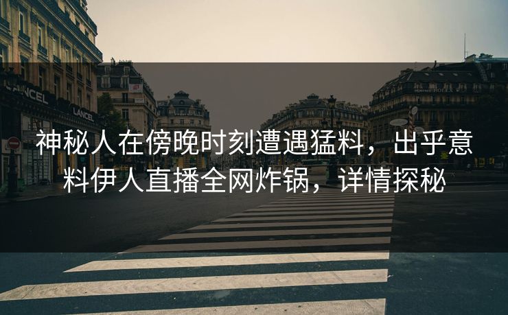 神秘人在傍晚时刻遭遇猛料，出乎意料伊人直播全网炸锅，详情探秘