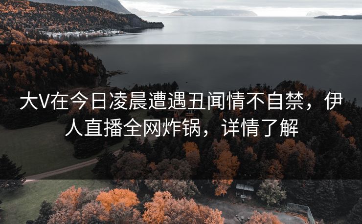 大V在今日凌晨遭遇丑闻情不自禁，伊人直播全网炸锅，详情了解