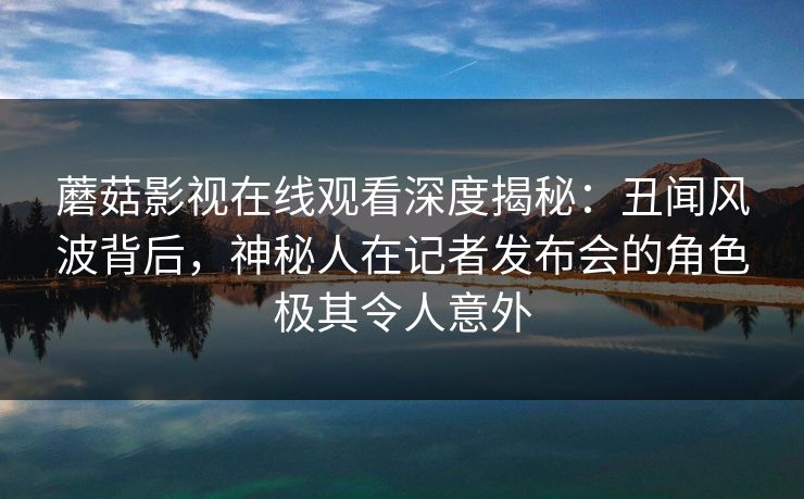 蘑菇影视在线观看深度揭秘：丑闻风波背后，神秘人在记者发布会的角色极其令人意外