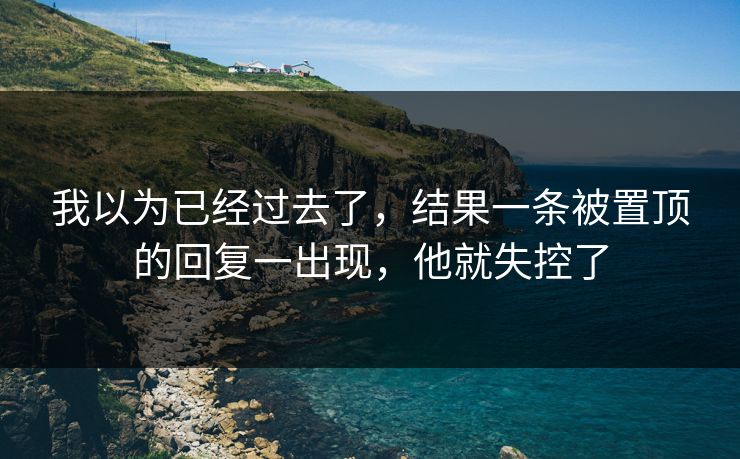 我以为已经过去了,结果一条被置顶的回复一出现,他就失控了 我以为已经过去了,结果一条被置顶的回复一出现,他就失控了