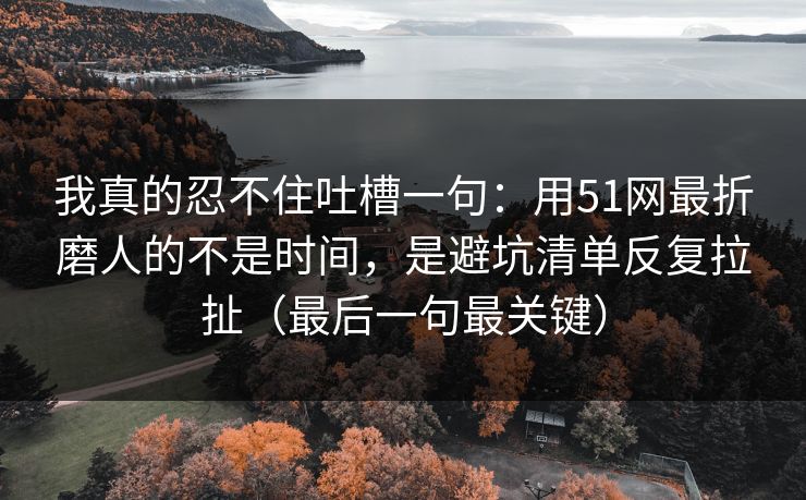 我真的忍不住吐槽一句:用51网最折磨人的不是时间,是避坑清单反复拉扯(最后一句最关键)